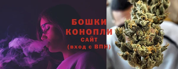 индика Богданович