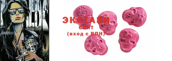 ECSTASY Богородицк